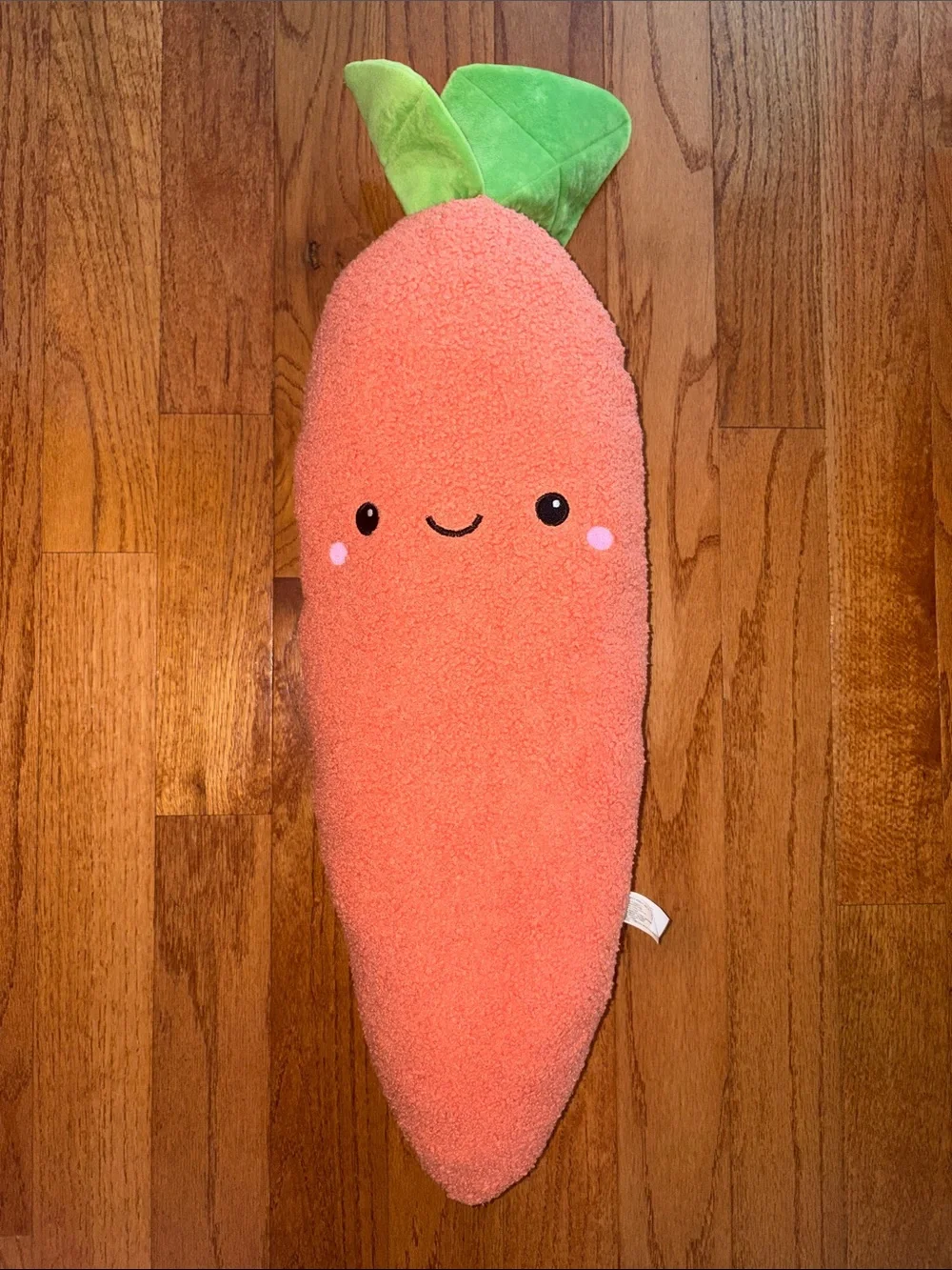 Giant carrot dog toy